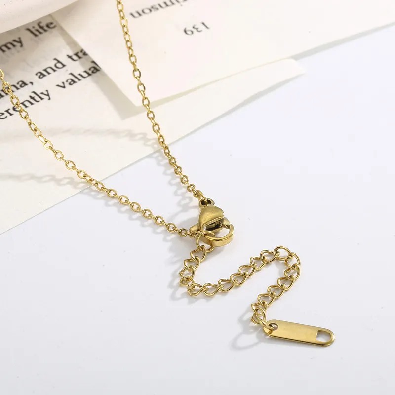 Simple Style Stainless Steel Necklace