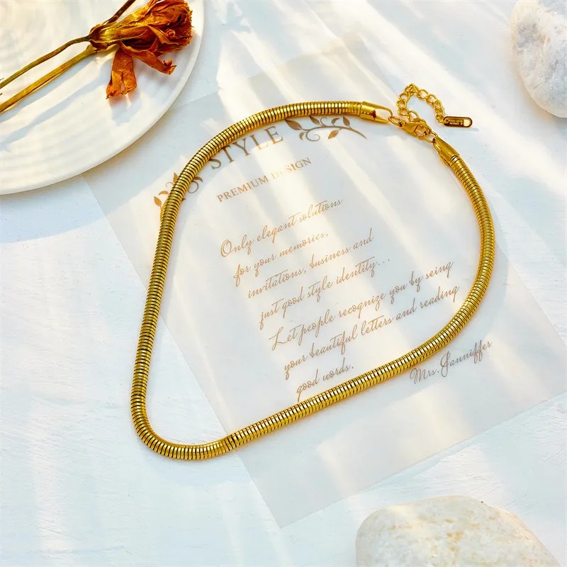 Hip-Hop Punk Solid Color Titanium Steel Plating 18K Gold Plated Necklace_colorza_2