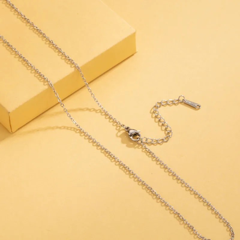 Simple Style Solid Color Stainless Steel Plating 18K Gold Plated Necklace_colorza_1