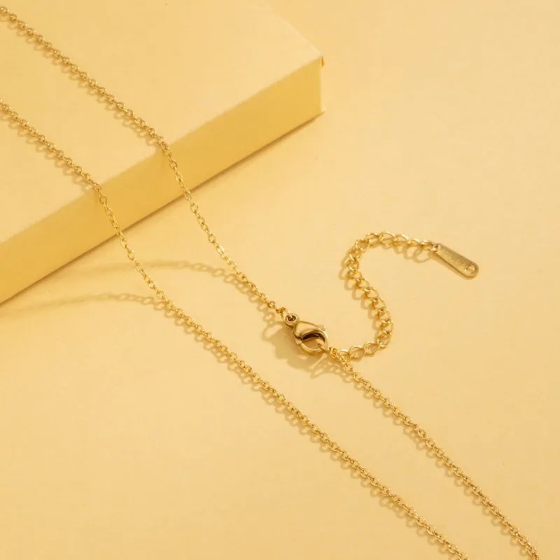 Simple Style Solid Color Stainless Steel Plating 18K Gold Plated Necklace_colorza_3