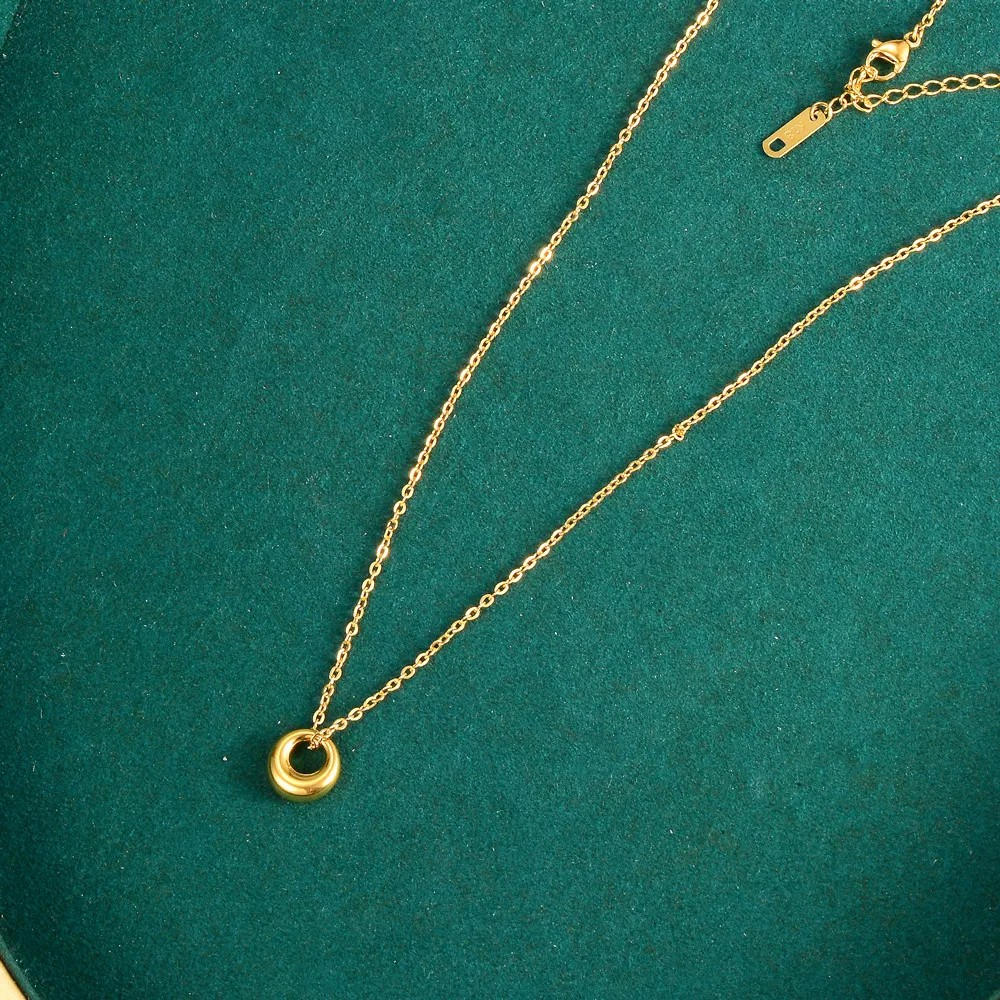 Elegant Simple Style Round Titanium Steel Plating 18K Gold Plated Pendant Necklace_colorza_3