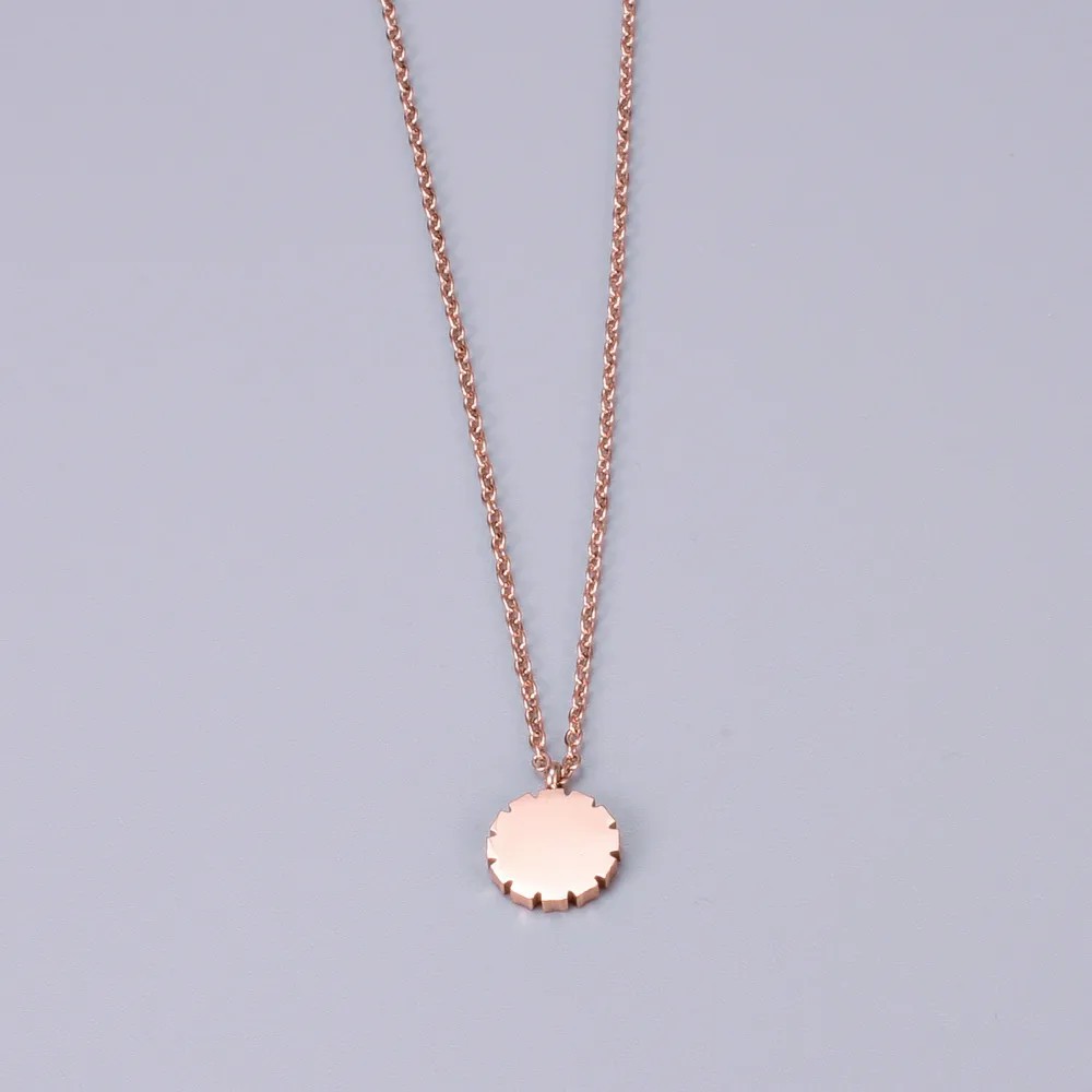 Sweet Daisy Titanium Steel Plating Inlay Zircon Pendant Necklace_colorza_1