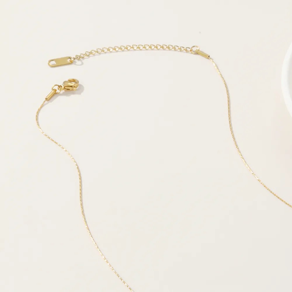 Casual Simple Style Round Titanium Steel Plating 14K Gold Plated Necklace_colorza_5