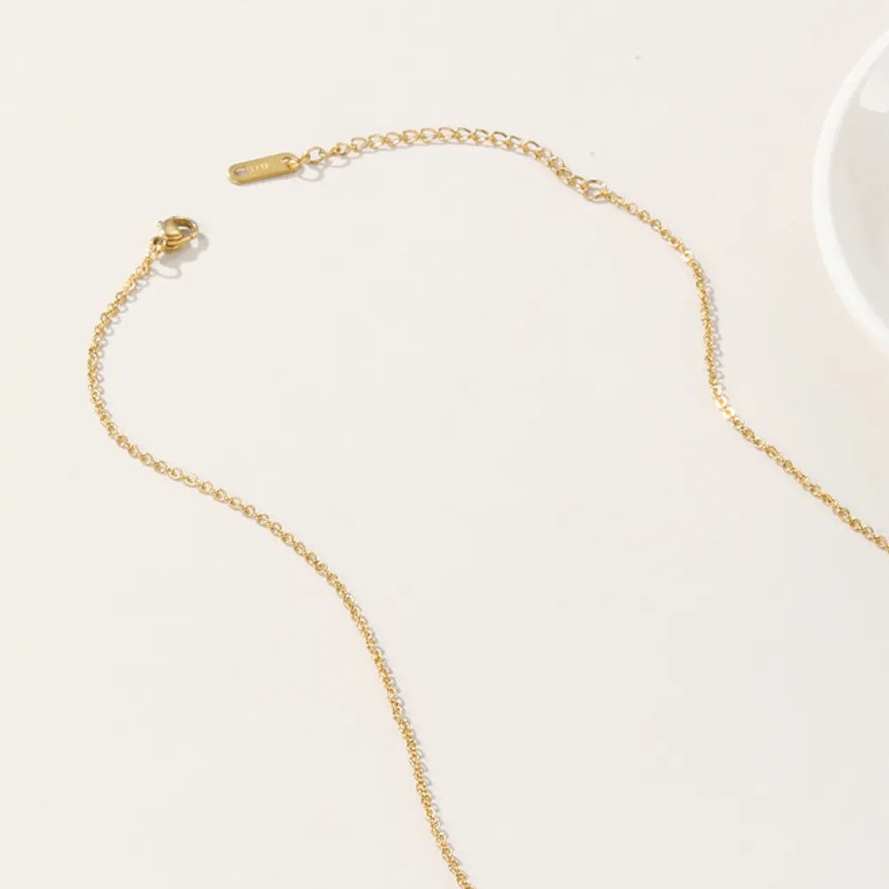 Casual Vintage Style Round Titanium Steel Plating 14K Gold Plated Pendant Necklace_colorza_6