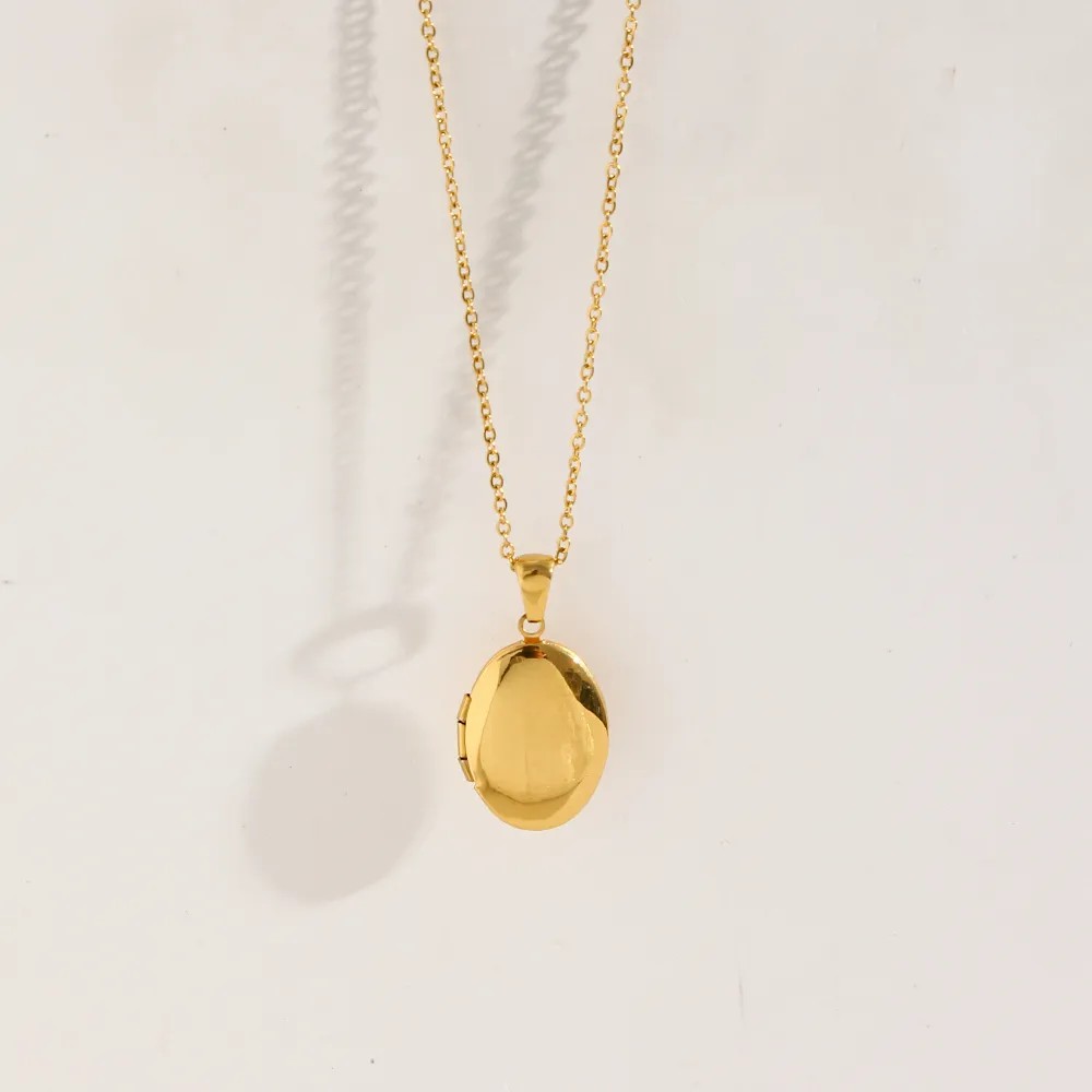 Vintage Style Simple Style Oval Stainless Steel Plating 18K Gold Plated Pendant Necklace_colorza_4