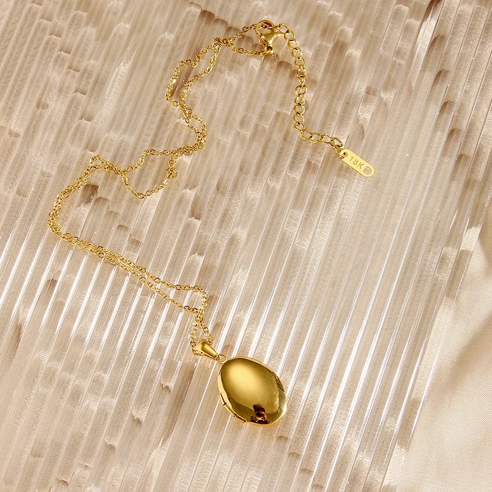 Vintage Style Simple Style Oval Stainless Steel Plating 18K Gold Plated Pendant Necklace_colorza_5