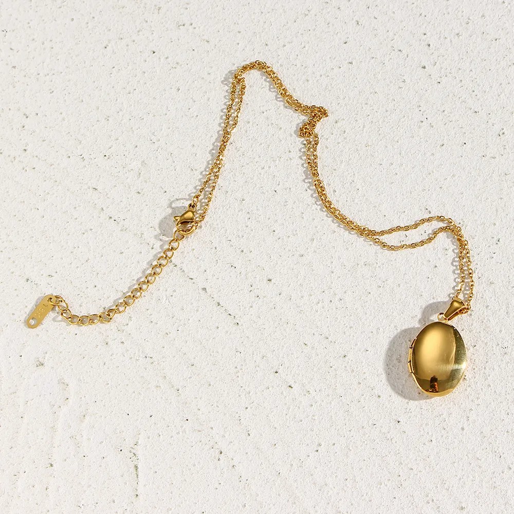 Vintage Style Simple Style Oval Stainless Steel Plating 18K Gold Plated Pendant Necklace_colorza_6