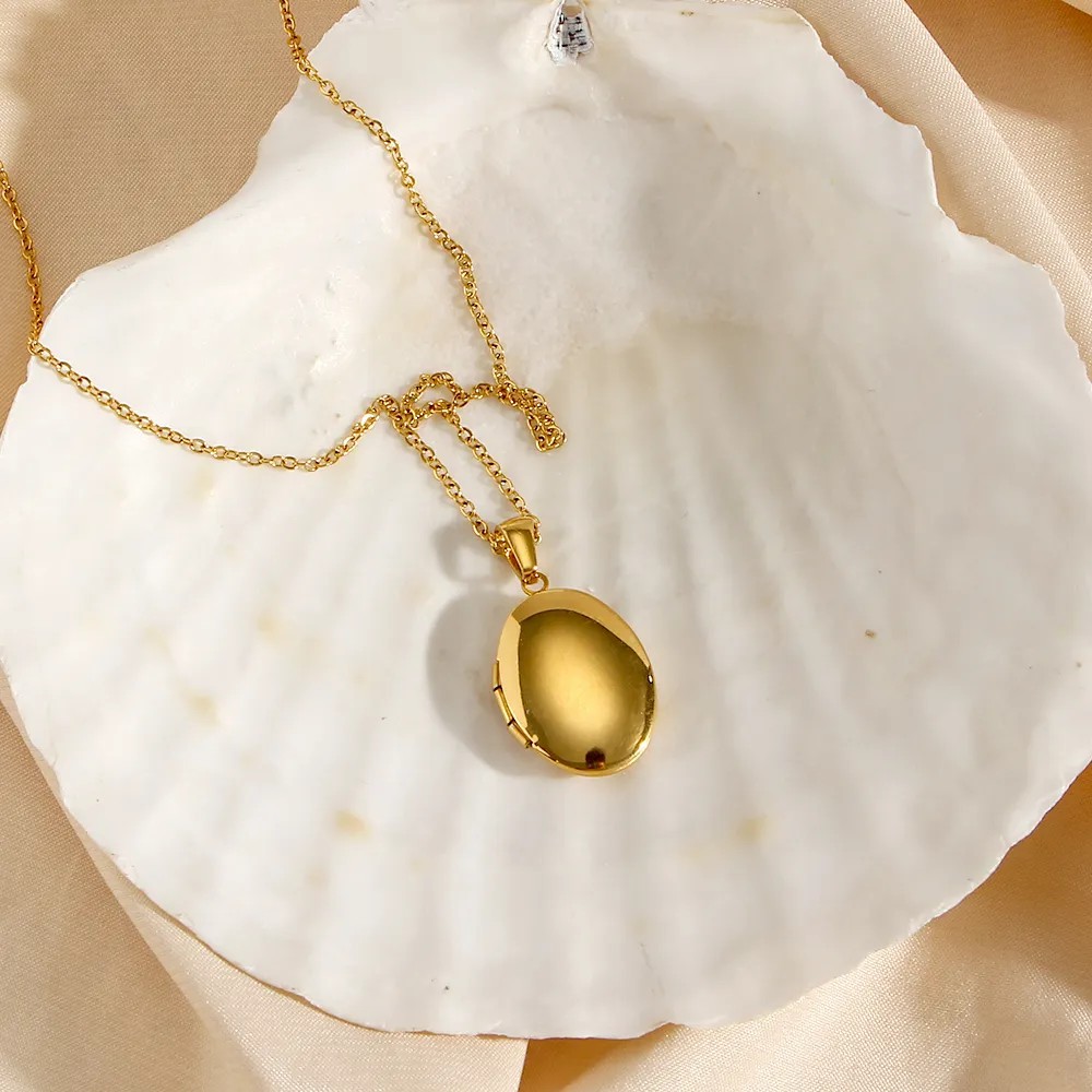 Vintage Style Simple Style Oval Stainless Steel Plating 18K Gold Plated Pendant Necklace_colorza_12