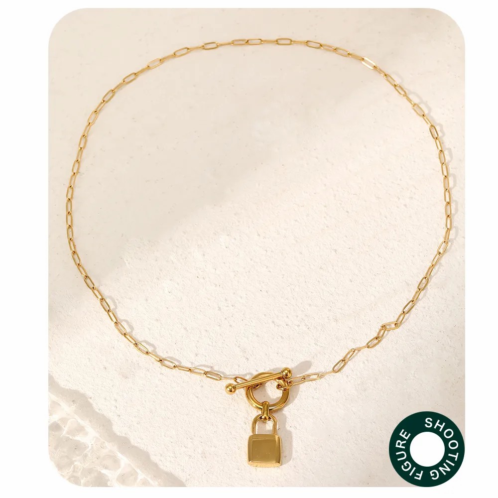 Streetwear Lock Stainless Steel Pendant Necklace_colorza_5