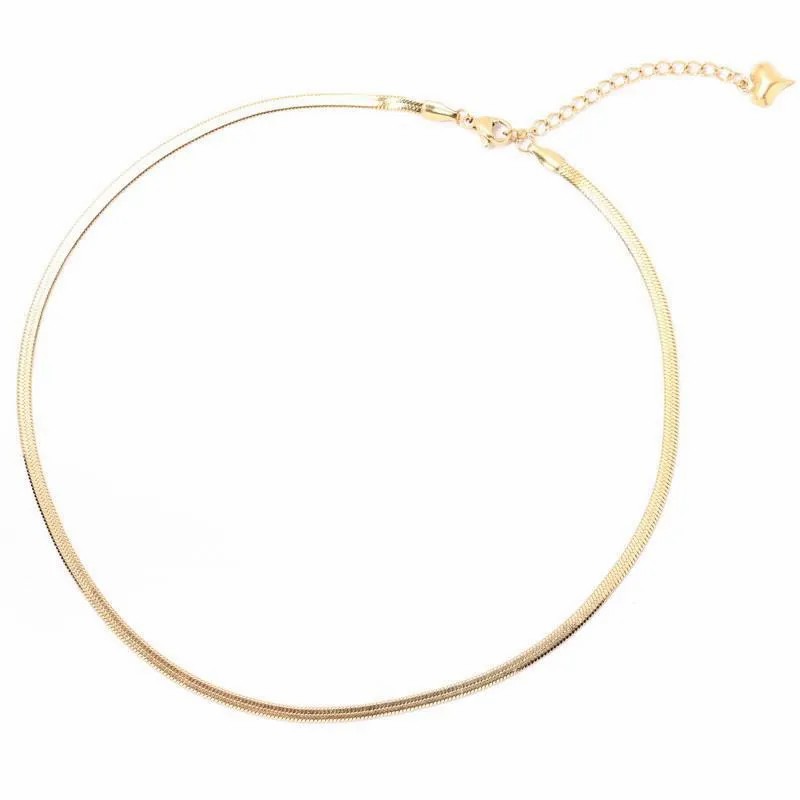 IG Style Solid Color Titanium Steel Plating 18K Gold Plated Choker_colorza_5