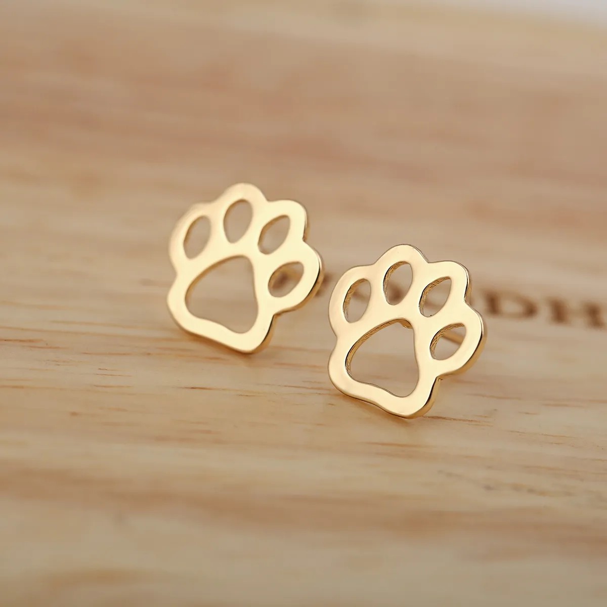 Women Simple Style Paw Print Stainless Steel No Inlaid Ear Studs Plating Stainless Steel Earrings_colorza_3