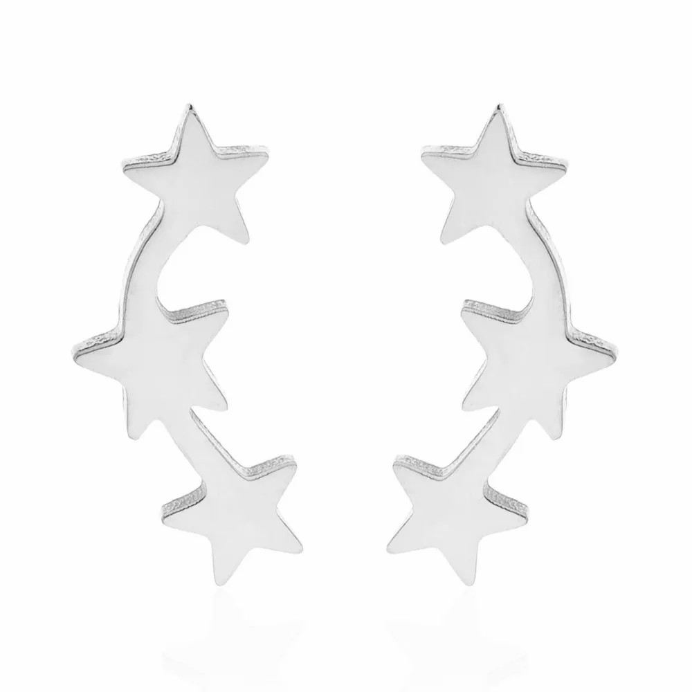 Women Simple Style Korean Style Star Stainless Steel No Inlaid Ear Studs Stainless Steel Earrings_colorza_1