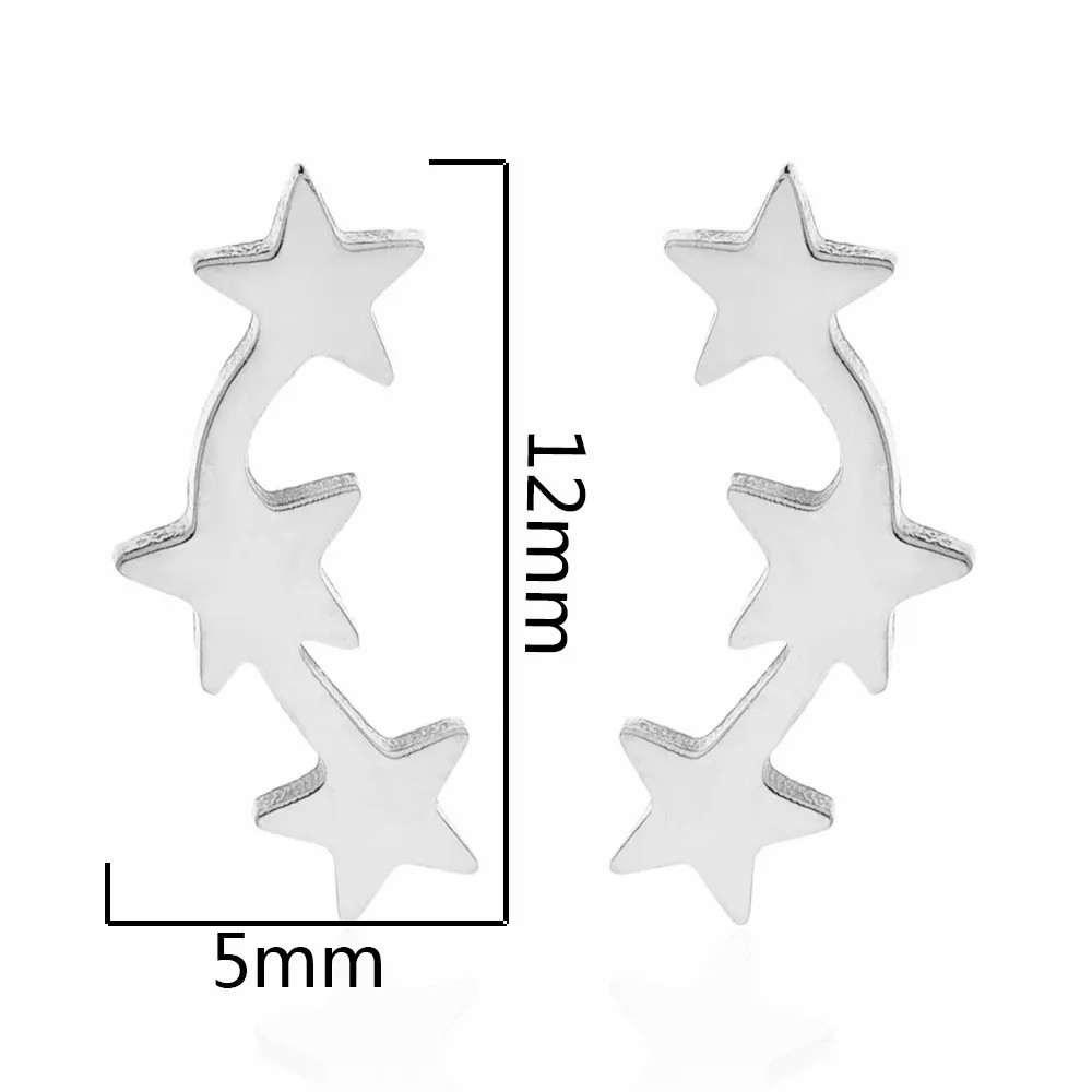 Women Simple Style Korean Style Star Stainless Steel No Inlaid Ear Studs Stainless Steel Earrings_colorza_3