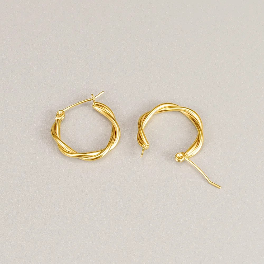 Simple Style Titanium Steel Earrings Plating No Inlaid Stainless Steel Earrings_colorza_1