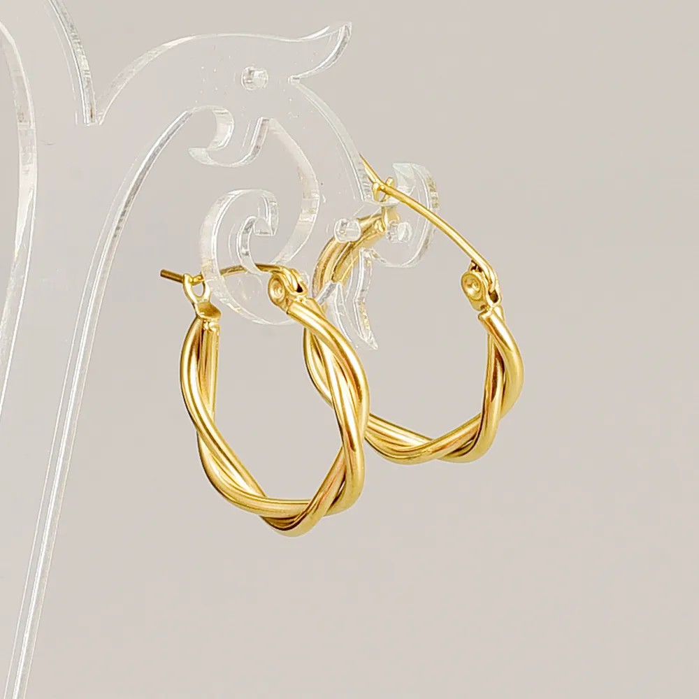 Simple Style Titanium Steel Earrings Plating No Inlaid Stainless Steel Earrings_colorza_2