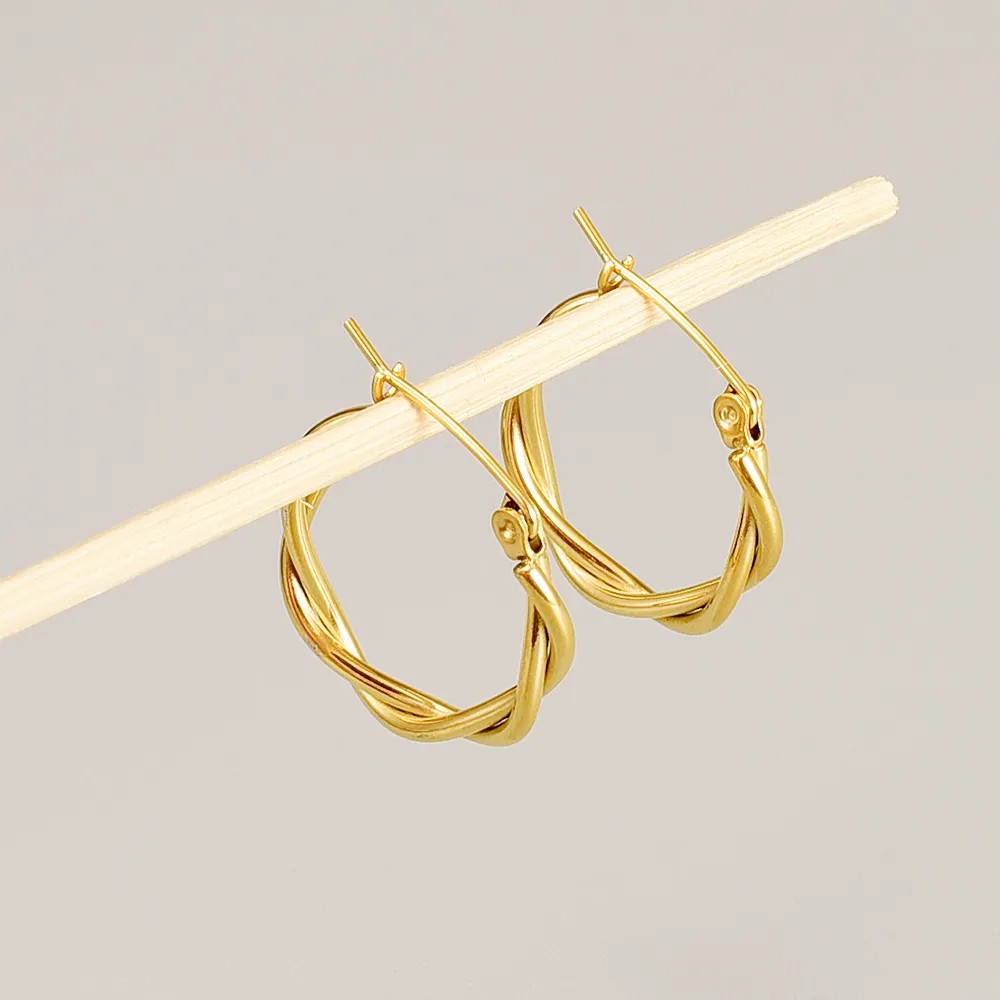 Simple Style Titanium Steel Earrings Plating No Inlaid Stainless Steel Earrings_colorza_3