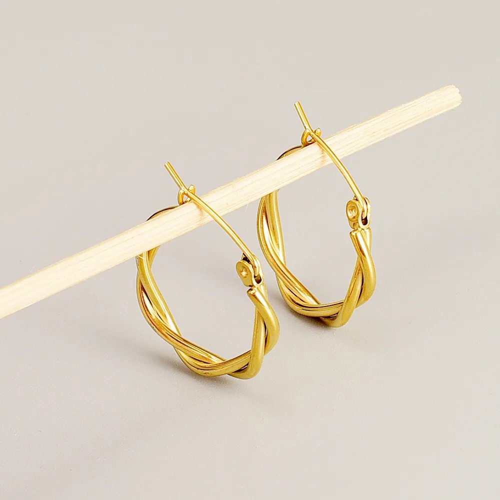 Simple Style Titanium Steel Earrings Plating No Inlaid Stainless Steel Earrings_colorza_4