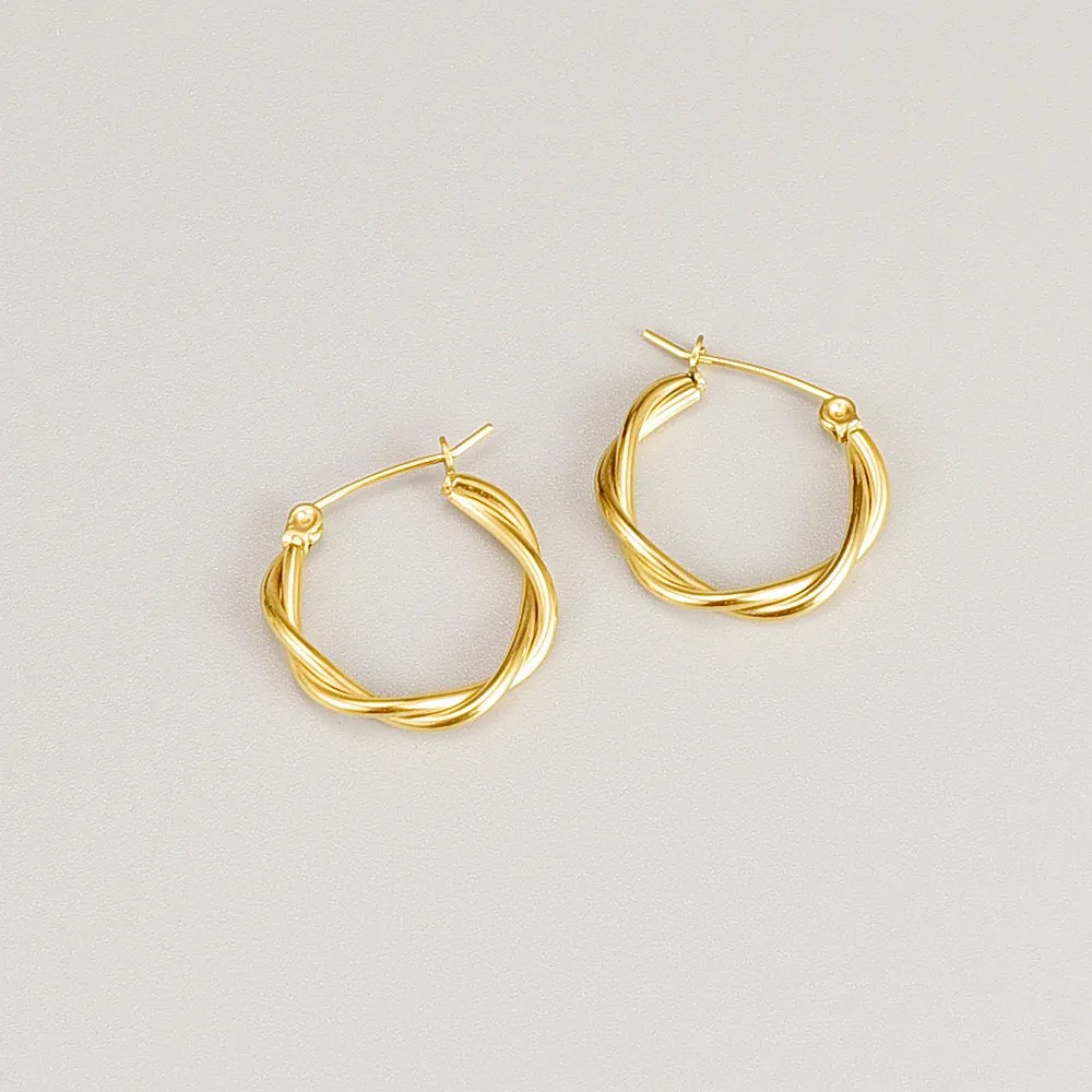 Simple Style Titanium Steel Earrings Plating No Inlaid Stainless Steel Earrings_colorza_5