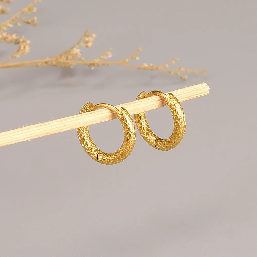 Simple Style Round Titanium Steel Hoop Earrings Plating Stainless Steel Earrings_colorza_2