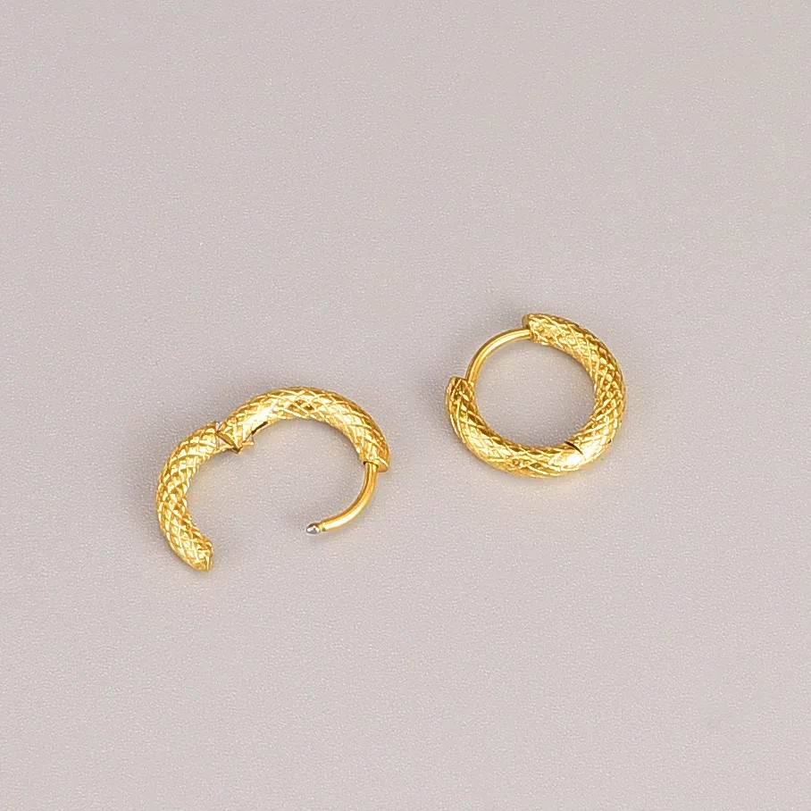 Simple Style Round Titanium Steel Hoop Earrings Plating Stainless Steel Earrings_colorza_4