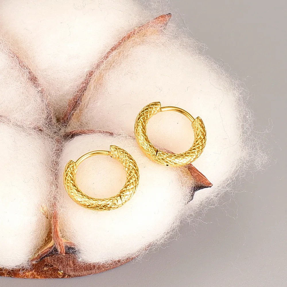 Simple Style Round Titanium Steel Hoop Earrings Plating Stainless Steel Earrings_colorza_5
