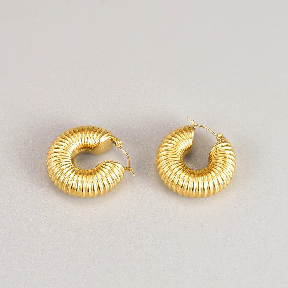 Retro Round Titanium Steel Hoop Earrings Plating Stainless Steel Earrings_colorza_1