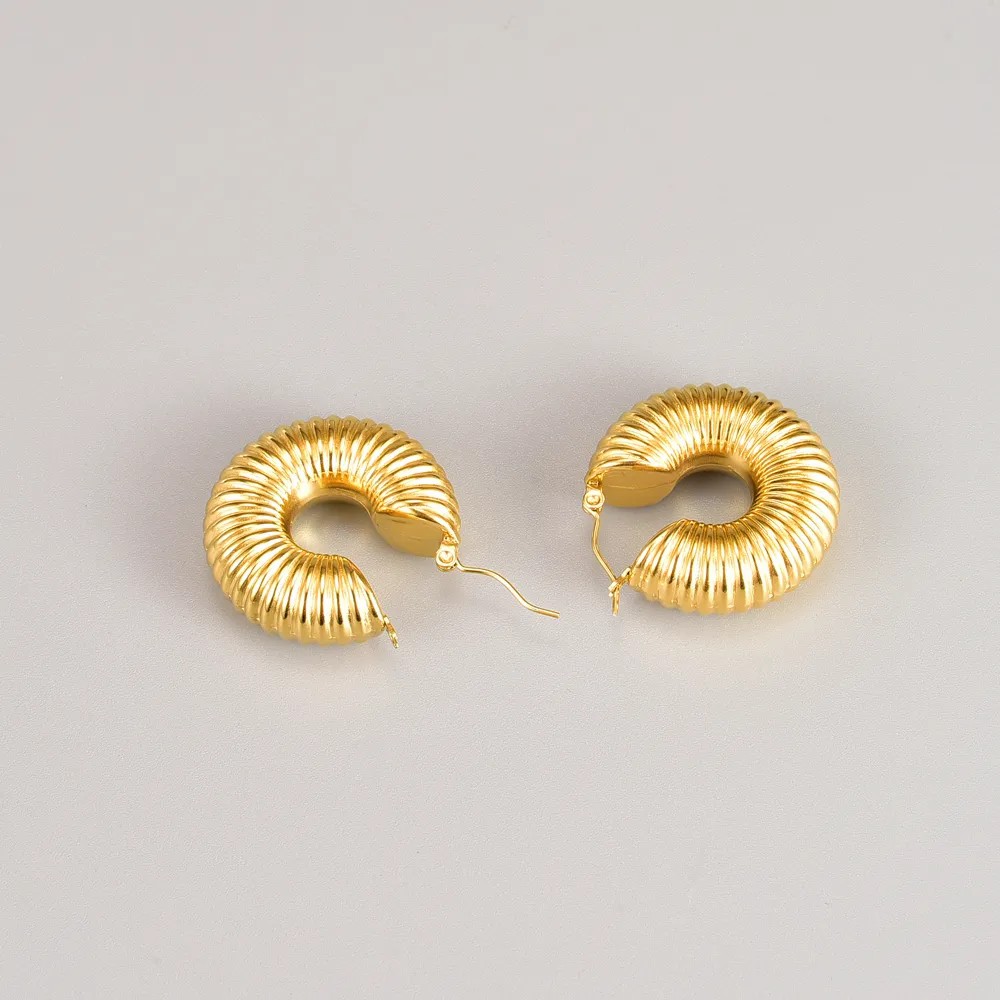 Retro Round Titanium Steel Hoop Earrings Plating Stainless Steel Earrings_colorza_2