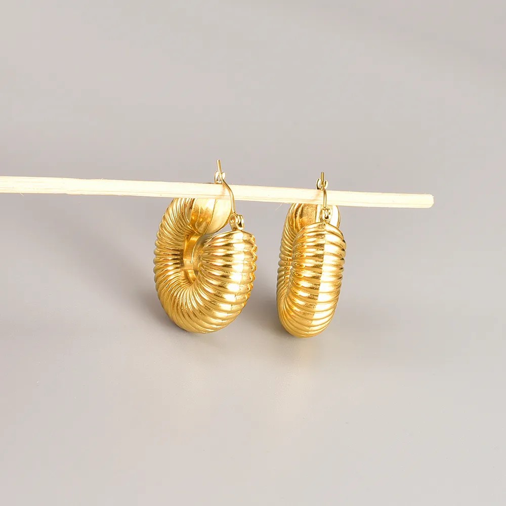 Retro Round Titanium Steel Hoop Earrings Plating Stainless Steel Earrings_colorza_3