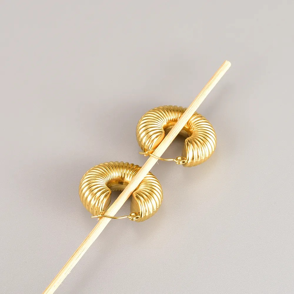 Retro Round Titanium Steel Hoop Earrings Plating Stainless Steel Earrings_colorza_4