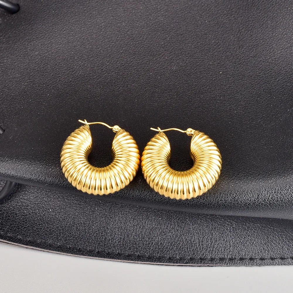 Retro Round Titanium Steel Hoop Earrings Plating Stainless Steel Earrings_colorza_5
