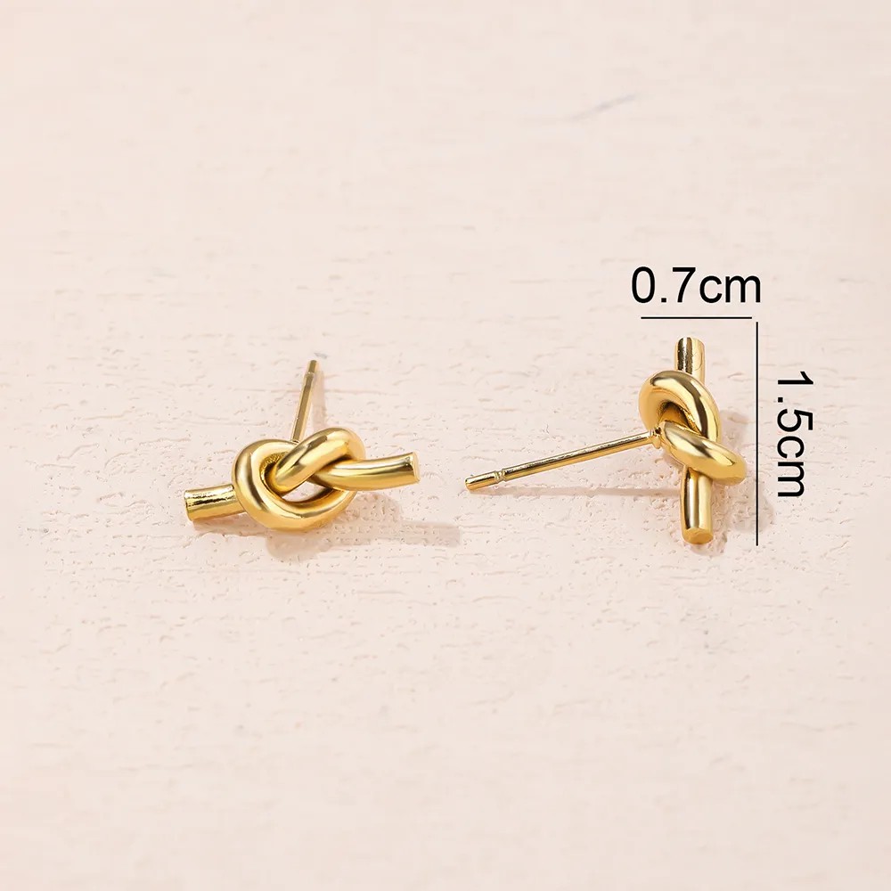 Simple Style Geometric Titanium Steel Ear Studs Plating Stainless Steel Earrings_colorza_2