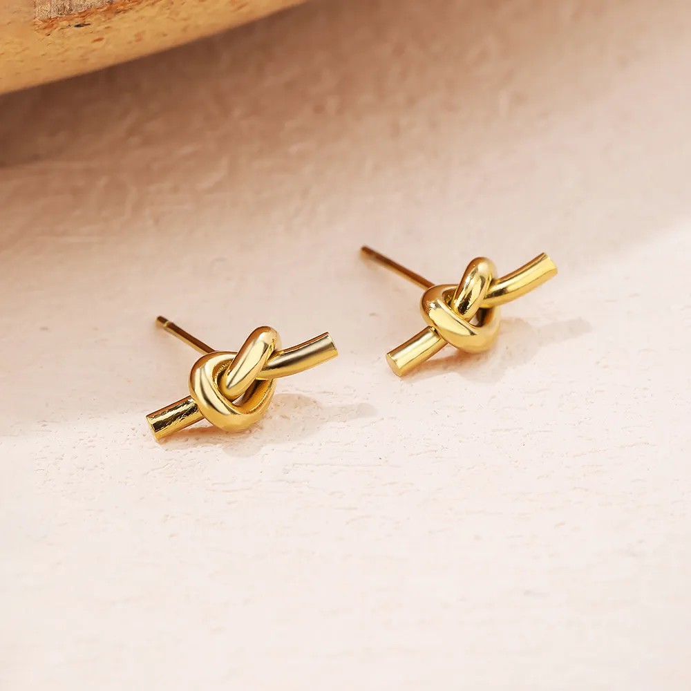 Simple Style Geometric Titanium Steel Ear Studs Plating Stainless Steel Earrings_colorza_5