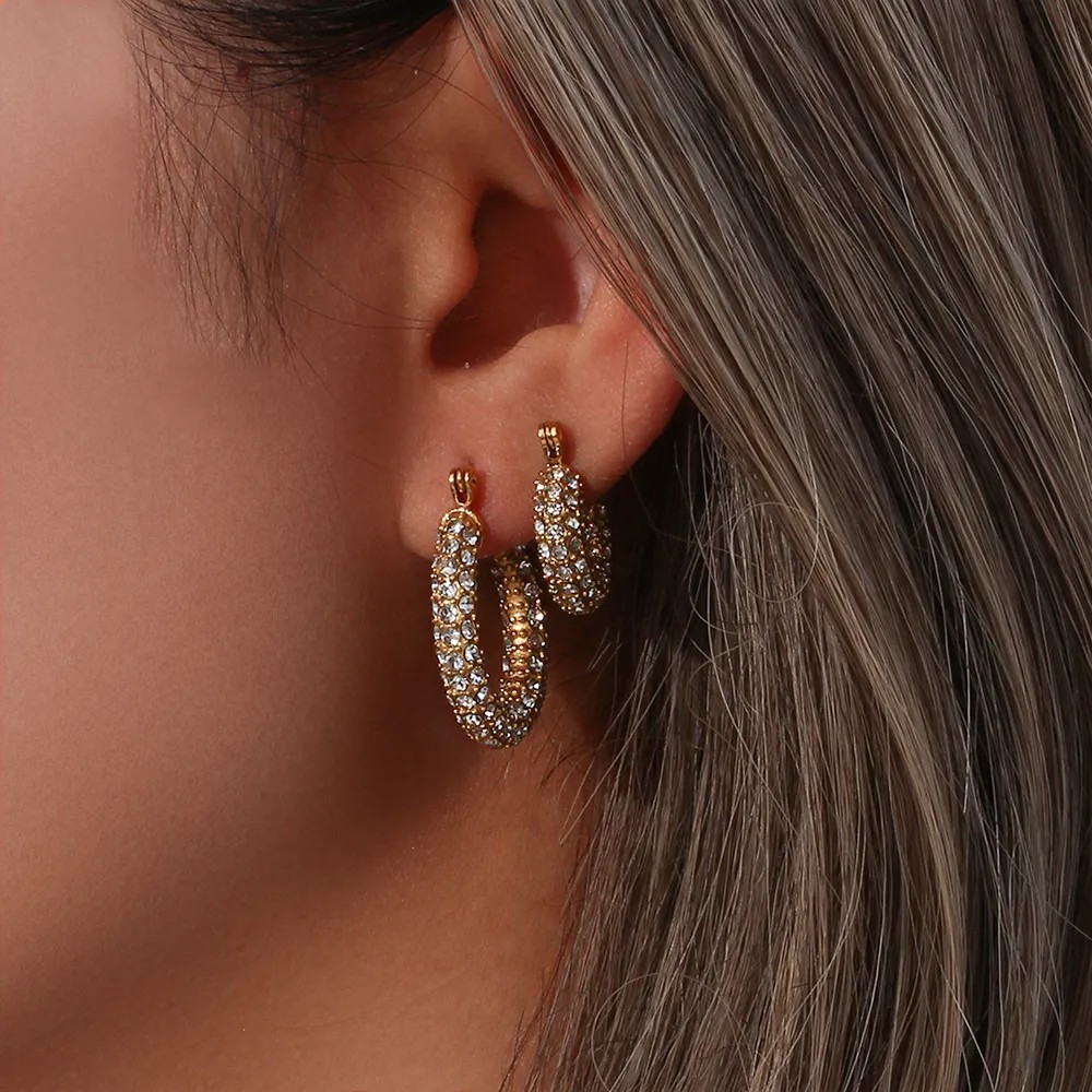 Fashion Geometric Stainless Steel Earrings Plating Inlaid Zircon Zircon Stainless Steel Earrings_colorza_3