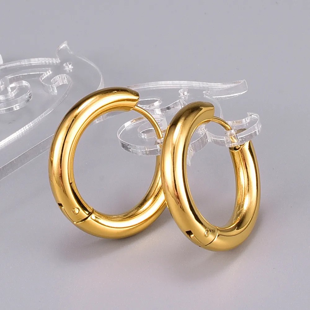 Simple Style Titanium Steel Earrings Plating Stainless Steel Earrings_colorza_1