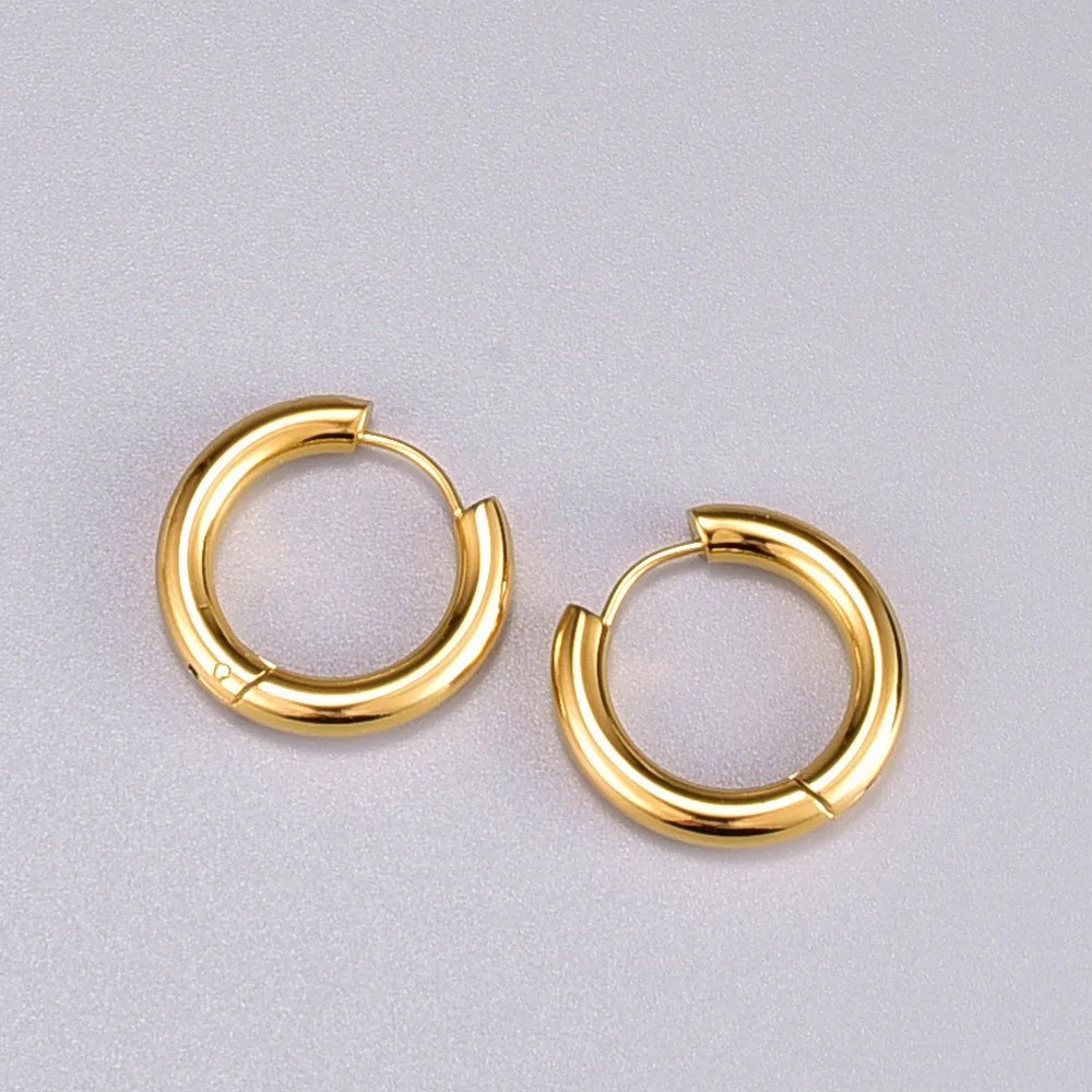 Simple Style Titanium Steel Earrings Plating Stainless Steel Earrings_colorza_2