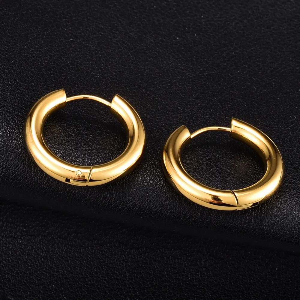 Simple Style Titanium Steel Earrings Plating Stainless Steel Earrings_colorza_3