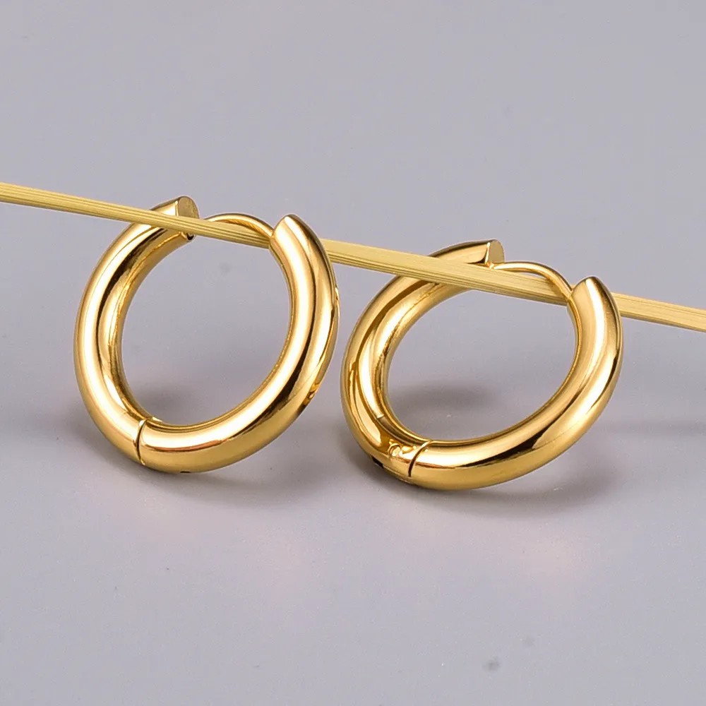 Simple Style Titanium Steel Earrings Plating Stainless Steel Earrings_colorza_4