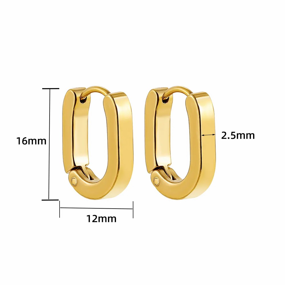 Simple Style Oval Stainless Steel Earrings Plating Stainless Steel Earrings 1 Pair_colorza_1