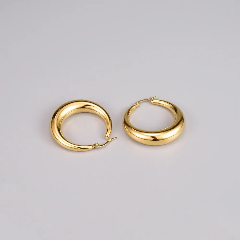 Simple Style Circle Titanium Steel Earrings Gold Plated Stainless Steel Earrings_colorza_1
