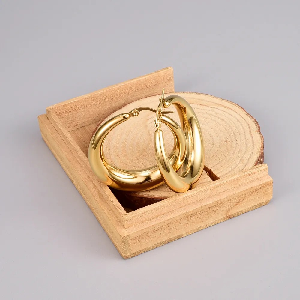 Simple Style Circle Titanium Steel Earrings Gold Plated Stainless Steel Earrings_colorza_5