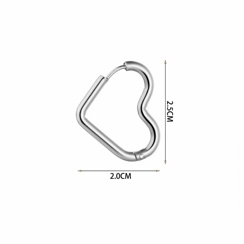 Geometric Stainless Steel Earrings Plating Stainless Steel Earrings 1 Pair_colorza_3