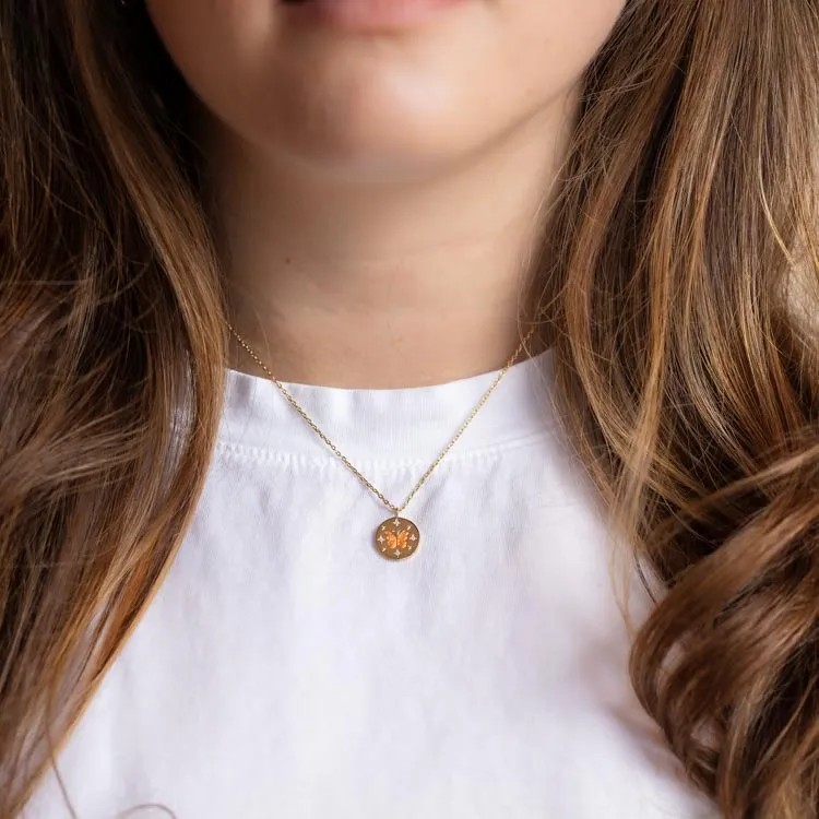 Retro Classic Style Star Butterfly Stainless Steel Plating Inlay Zircon 18K Gold Plated Pendant Necklace Long Necklace_colorza_4
