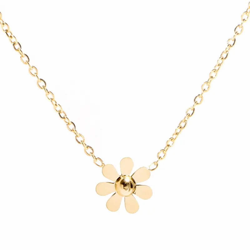 Simple Style Daisy Titanium Steel Plating 18K Gold Plated Pendant Necklace_colorza_5