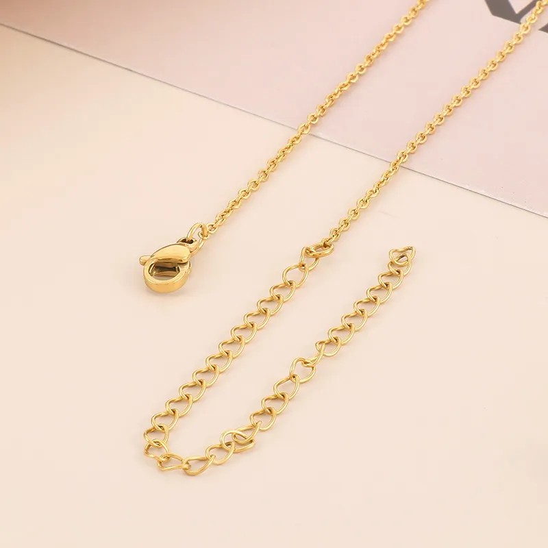 Simple Style Round Stainless Steel Titanium Steel Plating 18K Gold Plated Pendant Necklace_colorza_3