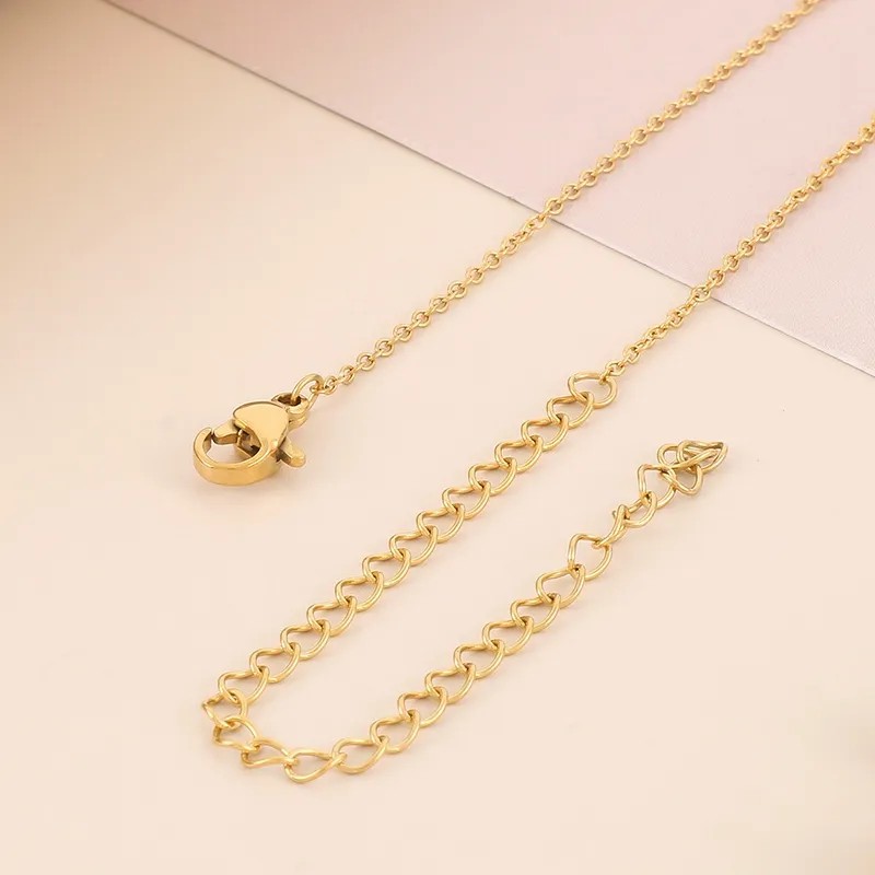 Simple Style Round Stainless Steel Shell Titanium Steel Plating 18K Gold Plated Necklace_colorza_5