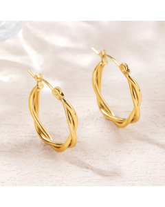 Stainless Steel Twisted Style Earrings - Close View