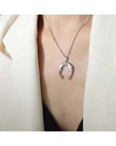 Wholesale Fashion Jewelry Minimalism Light Luxury Dolphin Pendant Titanium Steel Necklace Earrings-Steel Color-Necklace