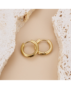 Niche Simple Smooth Titanium Steel Earrings Light Luxury Gold Plated Stainless Steel Earrings 