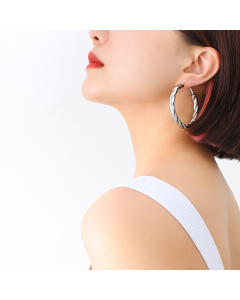 French Style Solid Color Titanium Steel Earrings Stainless Steel Earrings-Steel Color-L