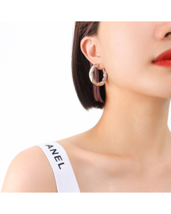 French Style Solid Color Titanium Steel Earrings Stainless Steel Earrings-Steel Color-S